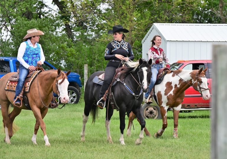 Trail rides and parades